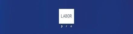 LaborPro Prostownica turmalinowaThe Queen mini B209
